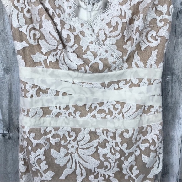 Tadashi Shoji Lace & Tulle Sheath Dress Sz 2 EUC - Picture 4 of 8